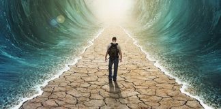 Cette nouvelle année est placée sous le signe de la Foi